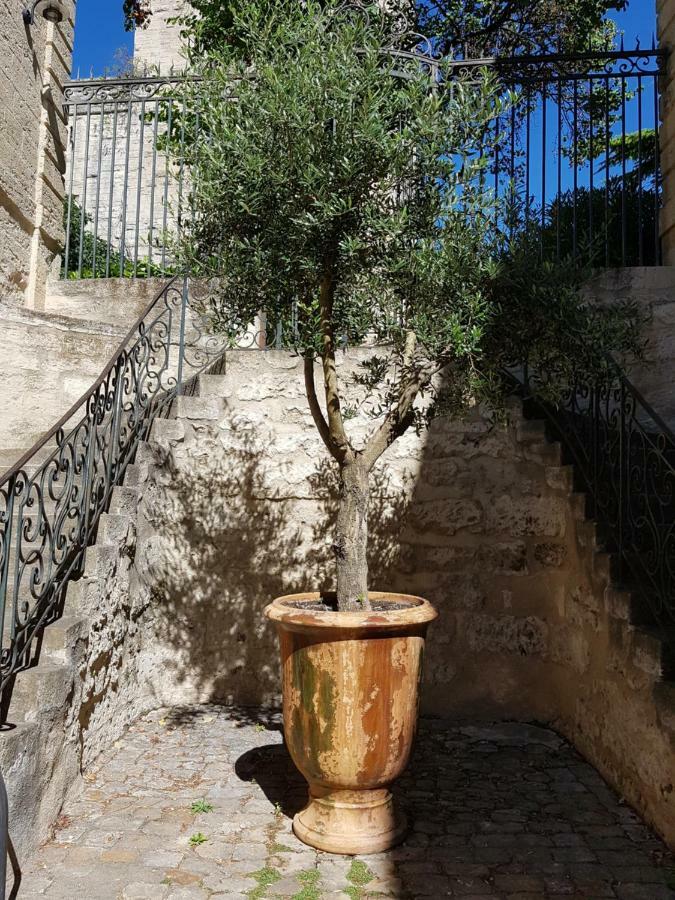 Appartement Dans Hotel De Flaux Uzès Kültér fotó